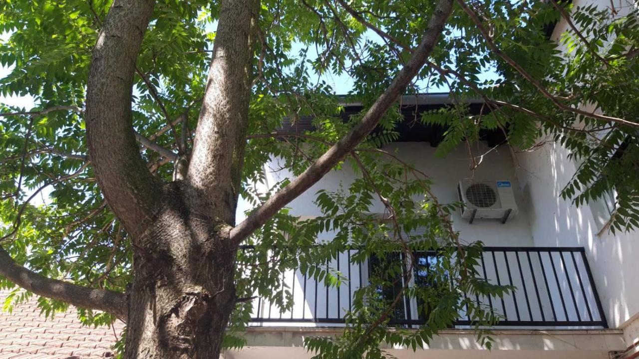Apartment Eurho Osijek Ngoại thất bức ảnh